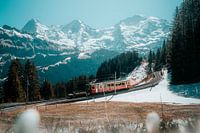 Trein in de bergen in zwitserland