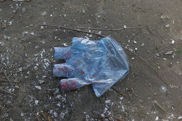 gloves, lost, forgotten by Norbert Sülzner