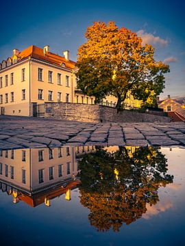 Op de kathedraalheuvel in Tallinn van Robert Ruidl