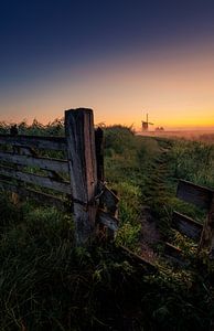 Zon komt op von Trudiefotografie