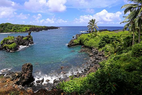 Lavaküste auf Hawaii von Antwan Janssen