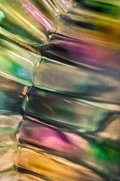 Kleurrijk Glas warme tinten van Patricia van Kuik