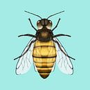 Honingbiene von Bianca Wisseloo Miniaturansicht
