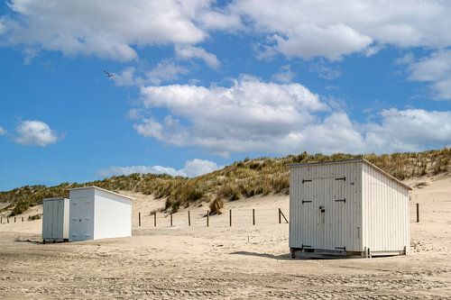 Beach huts on the beach
