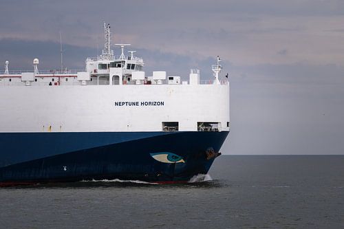 Neptune Horizon boeg