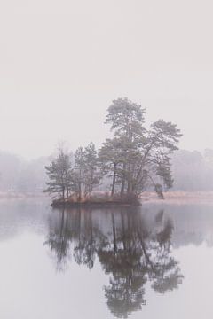 Reflectie van eiland met bomen in ven | Landschapsfotografie - Oisterwijkse Vennen van Merlijn Arina Photography