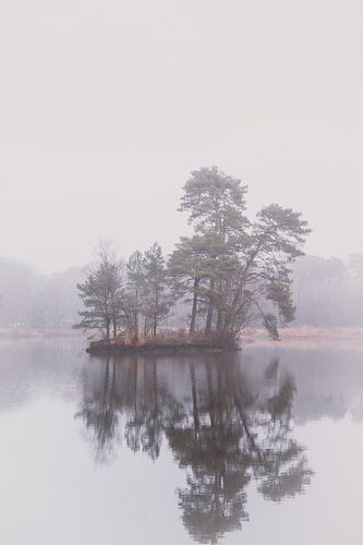 Reflectie van eiland met bomen in ven | Landschapsfotografie, monochroom - Oisterwijkse Vennen