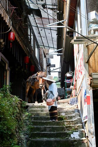 Chinese vrouw met paard