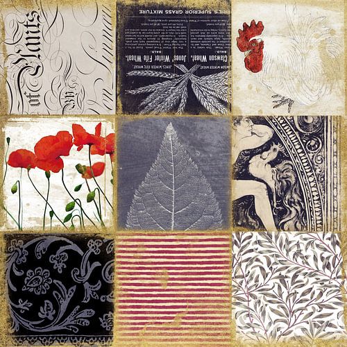 Van planten - Vintage patchwork collage met klaproos en haan