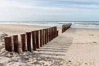 Zon, zee, strand en Ameland van Willemke de Bruin thumbnail