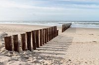 Sonne, Meer, Strand und Ameland