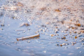 Muscheln mit viel kreisförmigem Bokeh