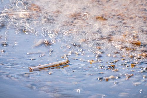 Muscheln mit viel kreisförmigem Bokeh von Yanuschka | Fotografie Noordwijk