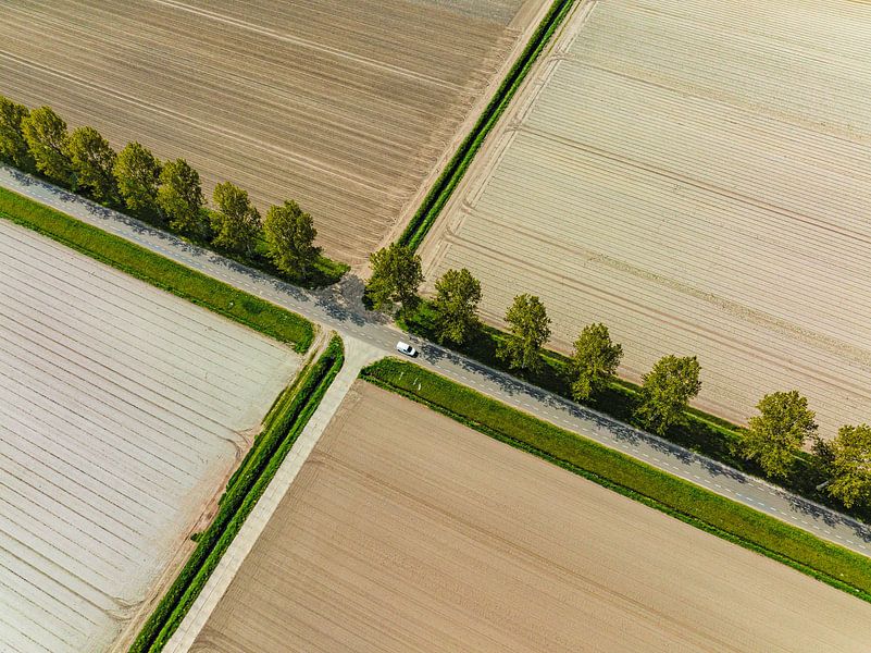 Kruispunt in de polder van bovenaf gezien van Sjoerd van der Wal Fotografie