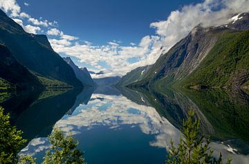 Eikesdalvatnet, Noorwegen van Adelheid Smitt