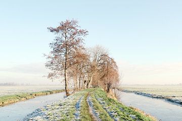 winterkoud van Yvonne Blokland