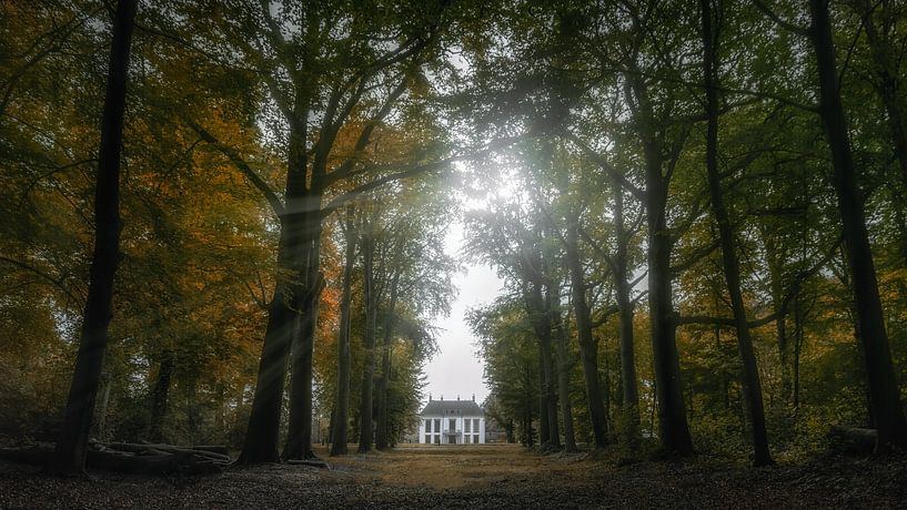 Nijenburg von Klaas Fidom