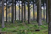 Mooi Drenthe