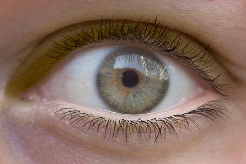 Macrofoto van een Oog: Ongefilterde Natuurlijke Schoonheid