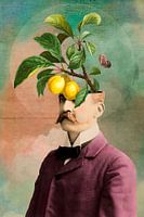 Always Keep a Green Mind