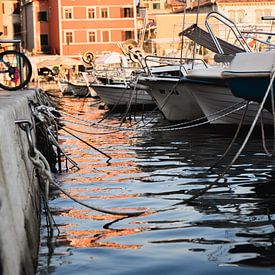 Schilderachtige haven van Rovinj: Boten rustend aan de kade van thomaswphotography