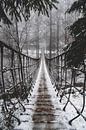 Suspension bridge in Kühhude by Joris Machholz thumbnail