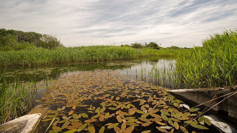 Wonderful Castricum by Elmar Marijn Roeper