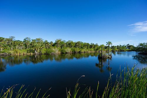 USA, Florida, Stil water van meer in everglades natuurlandschap