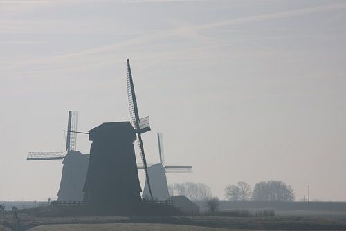 molens in de mist bij Schermerhorn