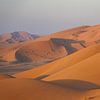 Woestijnduin: Oranje zandduinen in warm ochtendlicht, Oman van The Book of Wandering