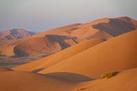Sand dunes in the Empty Quarter