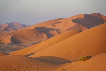 Woestijnduin: Oranje zandduinen in warm ochtendlicht, Oman