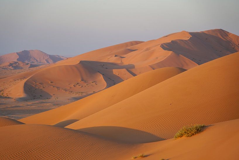 Woestijnduin: Oranje zandduinen in warm ochtendlicht, Oman van The Book of Wandering