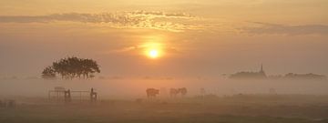 Cows in the Mist by Dirk van Egmond
