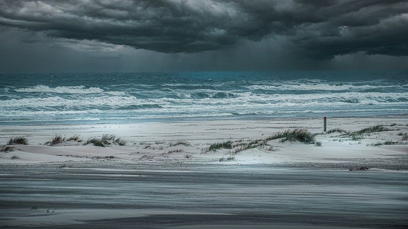 Sommersturm an der Küste von Terschelling von Ineke Huizing