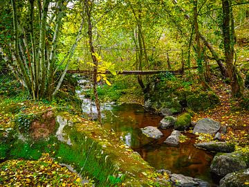 Ruisseau d'automne sur Miriam Meijer, en pleine campagne.....
