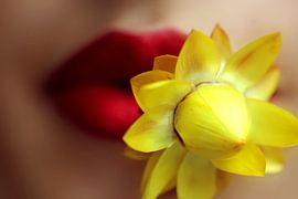 kiss by Felisa Friedman