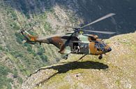 Spaanse Landmacht AS532 Cougar van Dirk Jan de Ridder - Ridder Aero Media thumbnail