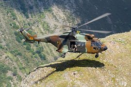 Spanish Army AS532 Cougar by Dirk Jan de Ridder - Ridder Aero Media