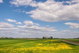 Wiesen in Drenthe von Brian Morgan