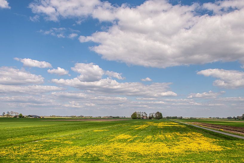 Meadows in Drenthe by Brian Morgan