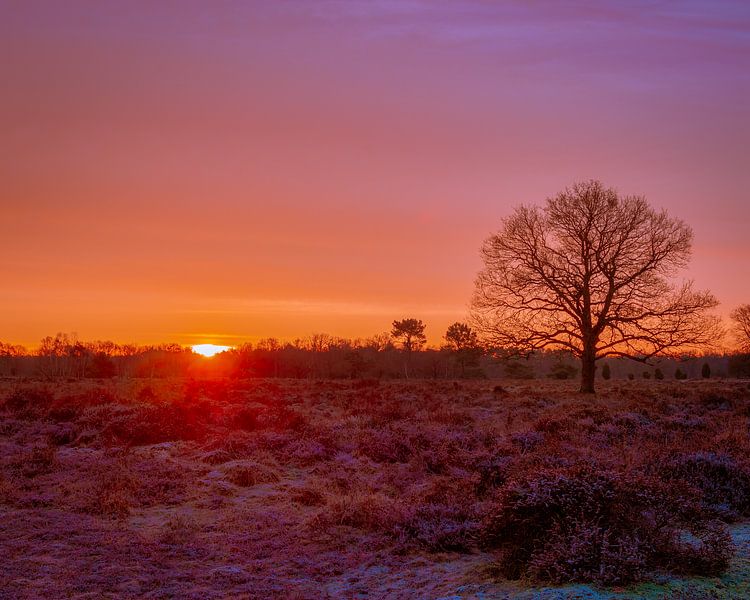 Zonsopkomst in het Buurserzand van Jeroen Brasz