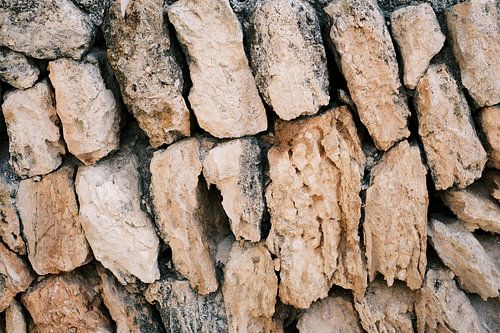 Close-up natuur stenen muurtje in Ibiza-stad | Reis- en Straatfotografie