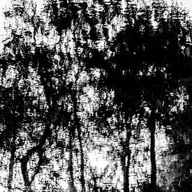 Reflected vision 4 van Pieter van Roijen