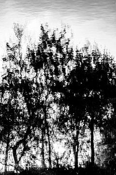 Reflected vision 4