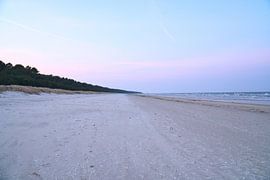 Uitzicht over het strand op Usedom met duinen aan de ene kant en de Baltische Zee aan de andere kant van Martin Köbsch