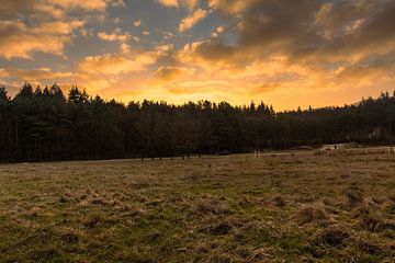 Mooie zonsopkomst met prachtige kleuren in de lucht van Rick van de Kraats