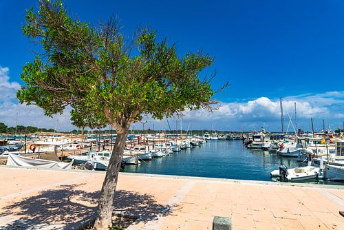 Promenade bij havenhaven van Cala Bona op het eiland Mallorca, Spanje