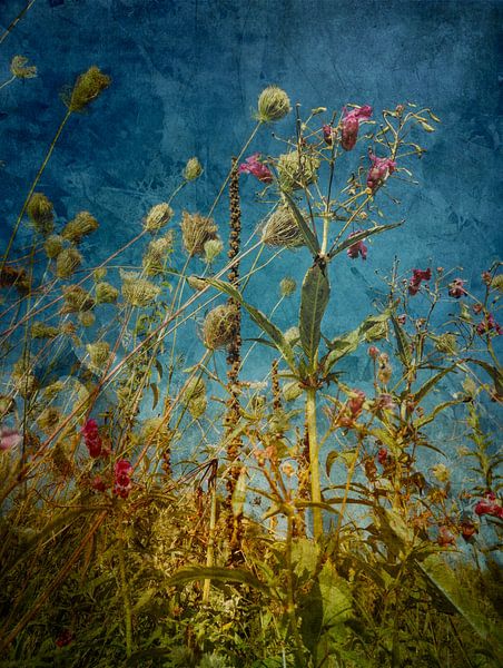 Hitze Blumen von Angelo Cerantola