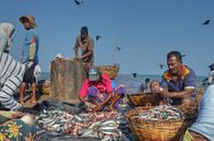 Fisherman's market in Sri Lanka by Aart Reitsma thumbnail